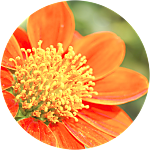 reviewer profile image