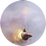 reviewer profile image