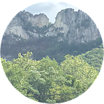 reviewer profile image