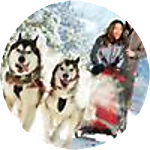 reviewer profile image