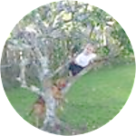 reviewer profile image