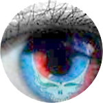 reviewer profile image