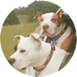 reviewer profile image