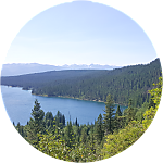 reviewer profile image