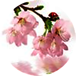 reviewer profile image