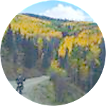 reviewer profile image