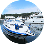 reviewer profile image