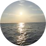 reviewer profile image