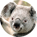 reviewer profile image