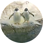 reviewer profile image