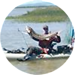 reviewer profile image