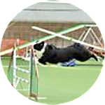 reviewer profile image
