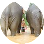 reviewer profile image