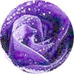 reviewer profile image