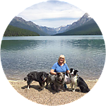 reviewer profile image