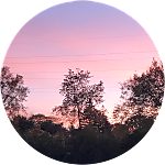 reviewer profile image