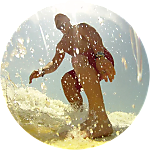 reviewer profile image