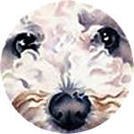reviewer profile image