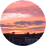 reviewer profile image