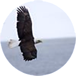 reviewer profile image