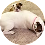 reviewer profile image