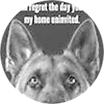 reviewer profile image