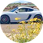 reviewer profile image