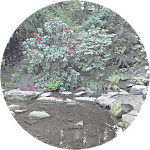 reviewer profile image