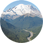 reviewer profile image