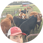reviewer profile image
