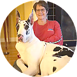 reviewer profile image