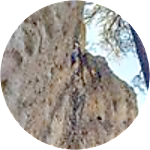 reviewer profile image