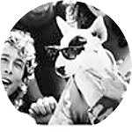 reviewer profile image