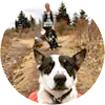 reviewer profile image