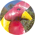 reviewer profile image