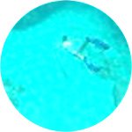 reviewer profile image