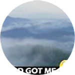 reviewer profile image