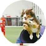 reviewer profile image