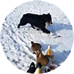 reviewer profile image