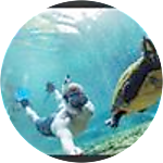 reviewer profile image