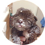 reviewer profile image