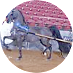 reviewer profile image