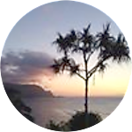 reviewer profile image