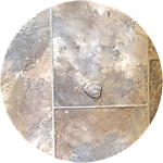 reviewer profile image