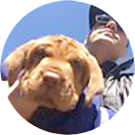 reviewer profile image