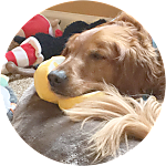 reviewer profile image