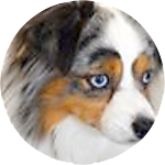 reviewer profile image