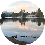 reviewer profile image