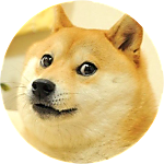 reviewer profile image