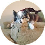reviewer profile image